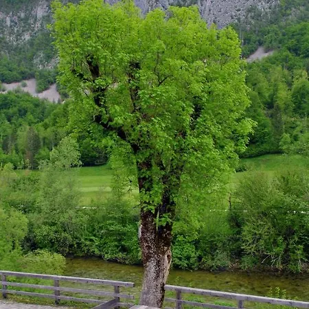 Riverside Village Apartment Bohinj Exterior photo