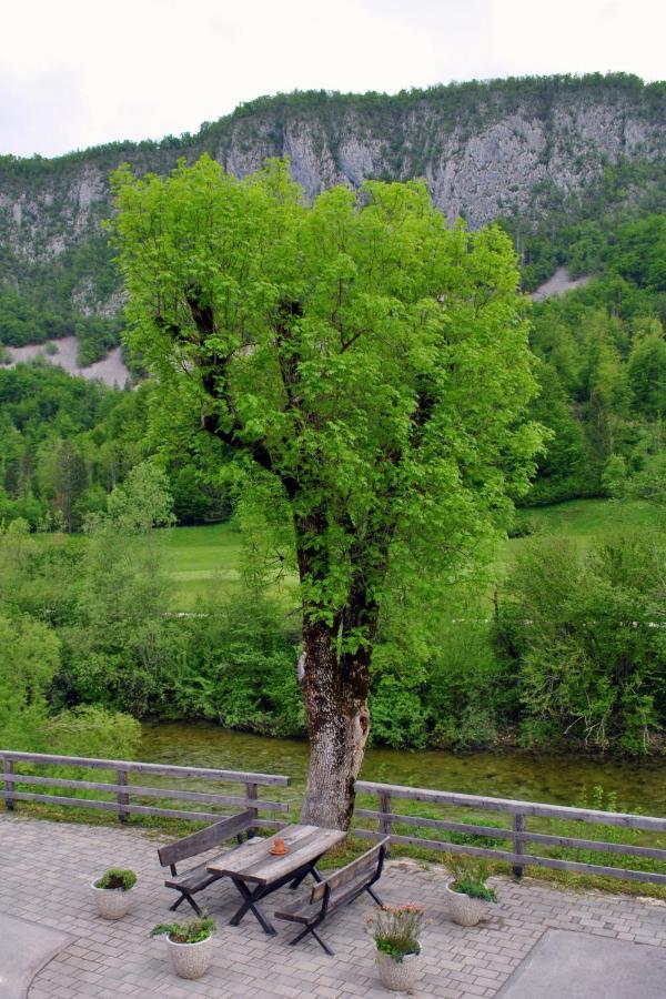 Riverside Village Bohinj
